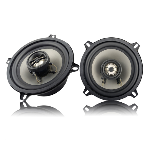 Altavoz Automotriz 5